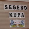 Segesd Kupa tollaslabda verseny
